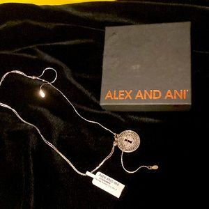 Alex and Ani necklace numerology 1